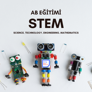 AB STEM Eğitim
